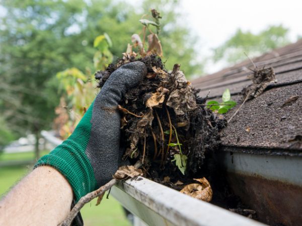 Gutter Cleaning Service Company Near Me in Hillsboro OR 2