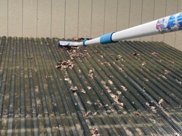 Roof Cleaning Service Company Near Me in Hillsboro OR 1