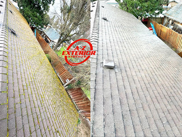 Roof Cleaning Service Company Near Me in Hillsboro OR 14